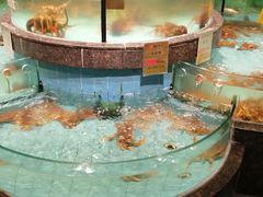 -西贝海鲜汇(槐安路店)