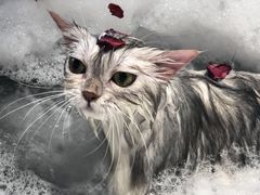-MOLLY'S萌宠生活馆