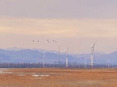 -野鸭湖国家湿地公园