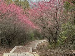 -海宁市观音寺