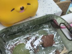 -半岛宠物医院24小时(白果林店)