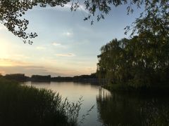 -大兴滨河森林公园