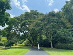 -中国科学院西双版纳热带植物园