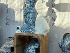 -VOYAGE COFFEE(杨梅竹店)