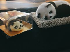 -BreadTalk面包新语·烘焙蛋糕(领展购物广场店)