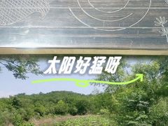 -盘龙城国家考古遗址公园