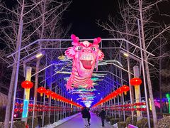 -南宫五洲植物乐园