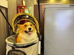 -海底捞火锅(亲子主题北金鹰店)