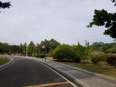 -东莞植物园