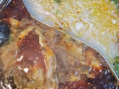 -肖肖酸萝卜鱼火锅(总店)