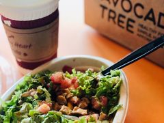 豆腐羽衣甘蓝碗里道-油梨树AVOCADO TREE(望京店)