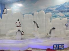 -水濂山乐民游艺园
