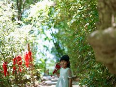 -少华山国家森林公园