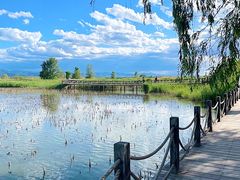 -野鸭湖国家湿地公园