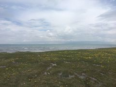 -青海湖国家重点风景名胜区