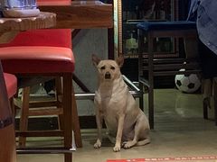 -Cactus墨西哥仙人掌餐厅