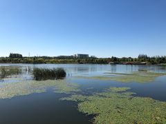 -东郊湿地公园