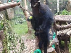 -上海动物园(地铁站)