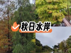 -云溪植物园