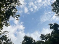-得丘礼享谷·玉兰苑