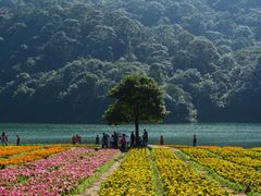 -广州市石门国家森林公园