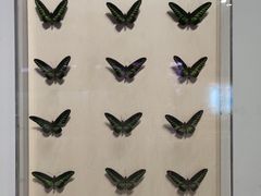 -陕西自然博物馆