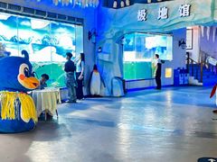 -重庆欢乐海底世界