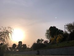 -羊山湖公园