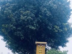 -侠成水上农庄(工业大道店)