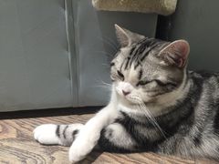 -小时光咖啡馆(开森度假森林店)