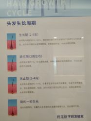 点击看大图 -碧莲盛·不剃发植发