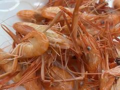 -八仔大富楼·河鲜(西江店)