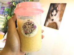 -Husky Go! 哈士奇体验馆·宠物咖啡厅狗咖