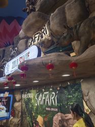 -卡通尼·Safari非洲探索乐园·生日会(金桥国际商业广场店)