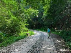 -紫金山山顶公园