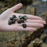 吐着吐着就到了