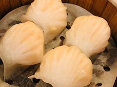 唐宫虾饺皇-唐宫海鲜舫