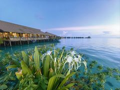 -卡帕莱度假村(西巴丹岛)