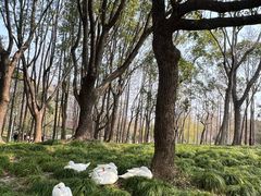 -霖公馆SPA·足道(普善路店)