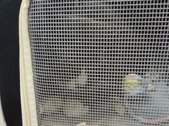 -联合动物医院(光谷诊疗中心)