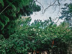 -穹窿山景区