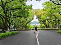 -浙江大学(玉泉校区)