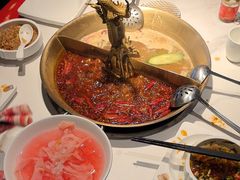 -小龙翻大江文化火锅(宽窄店)