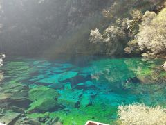 -叠溪松坪沟景区