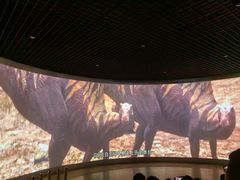-诸城市恐龙博物馆