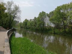 -新江湾城公园