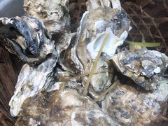 -臻炙大舍烤串(天龙家园店)