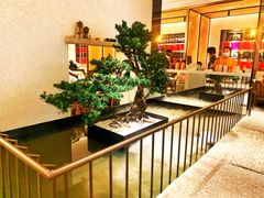 -十二粤味·顺德菜·烧鹅点心(五四广场店)