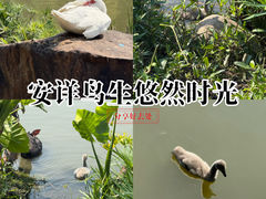 -牛岗山公园