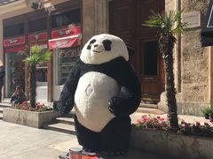 -瓦伦西亚大教堂